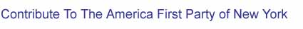 Welcome to the AMerica First Party of New York